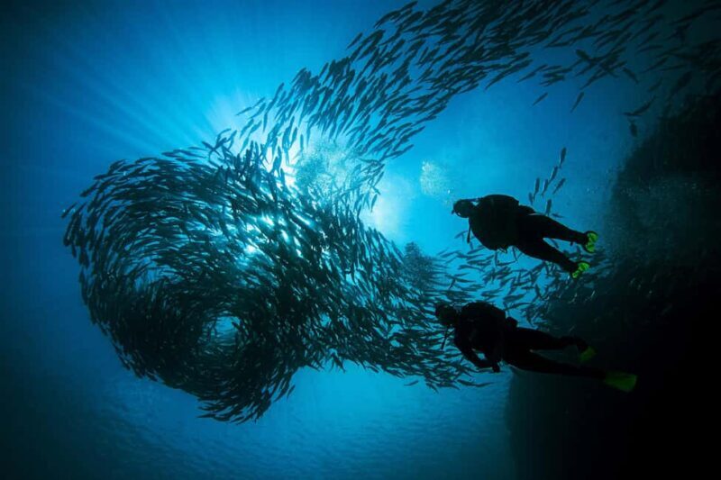BARCELONA: SCUBA DIVING INITIATION - Dive in and experience underwater adventures - 2 hours - What to Expect During the Experience