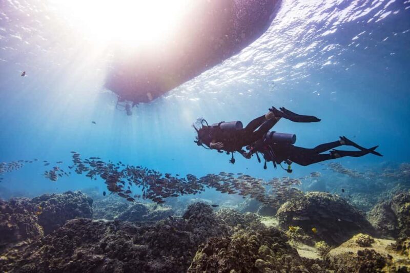 BARCELONA: SCUBA DIVING INITIATION - Dive in and experience underwater adventures - 2 hours - Who Will Love This Experience?
