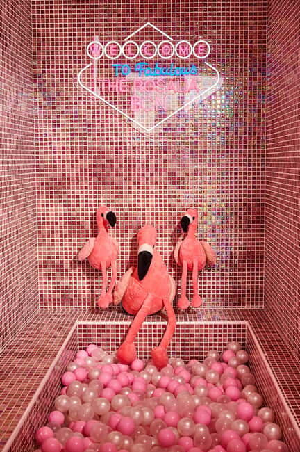 Barcelona: Sensory Dinner Signature Cocktail and Live Show - Key Points