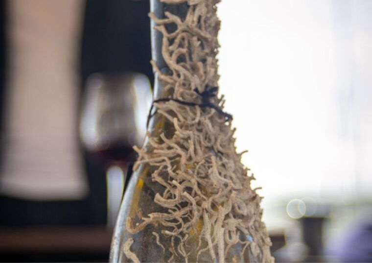 barcelona-submarine-winery-wine-tasting-and-sailing-tour