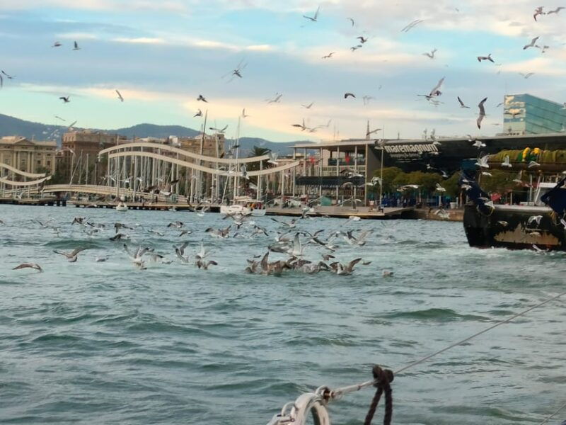 barcelona-sunset-cruise-with-snacks-and-drinks