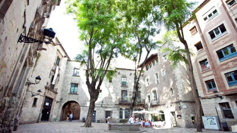 barcelona-tapas-picasso-museum-guided-walking-tour