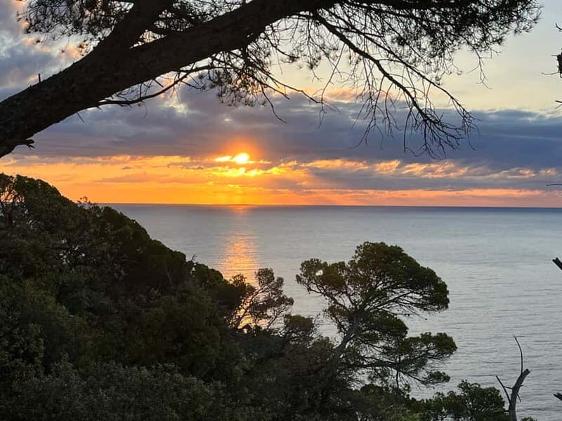Barcelona: Tossa de Mar coastal path & Costa Brava - The Itinerary in Detail: What to Expect on This Tossa de Mar & Costa Brava Tour