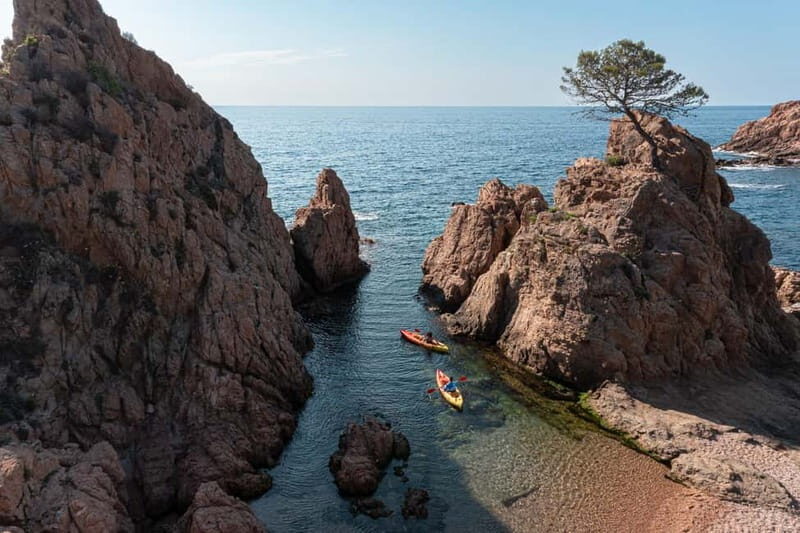 Barcelona: Tossa de Mar Day Tour - Key Points