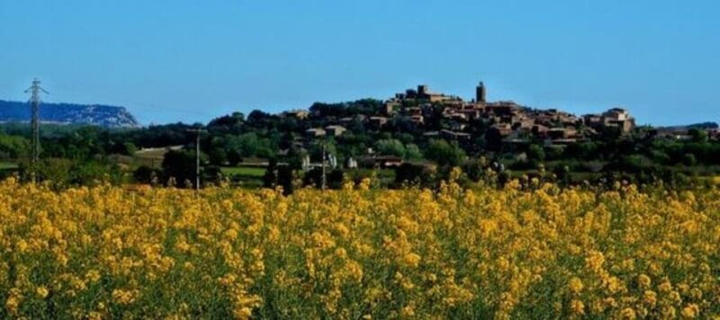 barcelona-tour-besalu-peratallada-and-pals