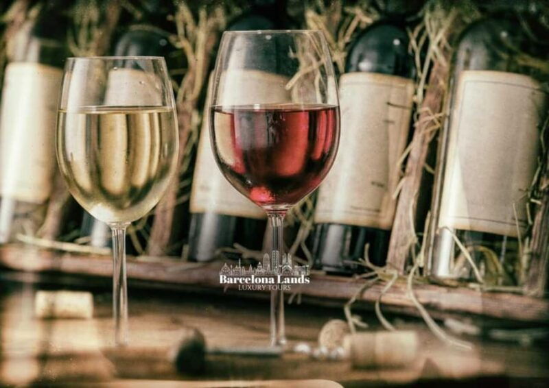 barcelona-tour-luxury-for-priorat-wine-tasting-lunch