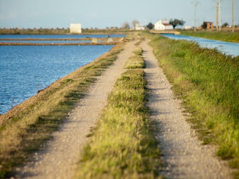 barcelona-tuna-baths-in-the-ebro-delta-route-and-olive-tree-tour