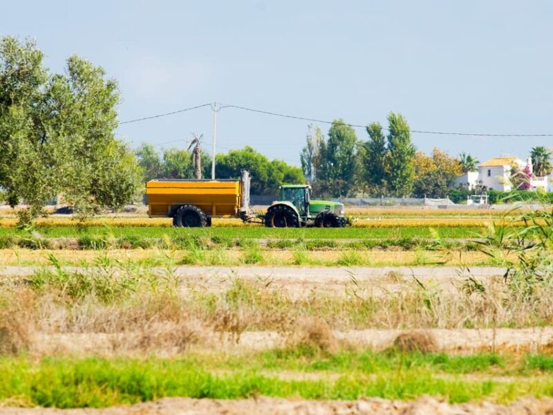 barcelona-tuna-baths-in-the-ebro-delta-route-and-olive-tree-tour
