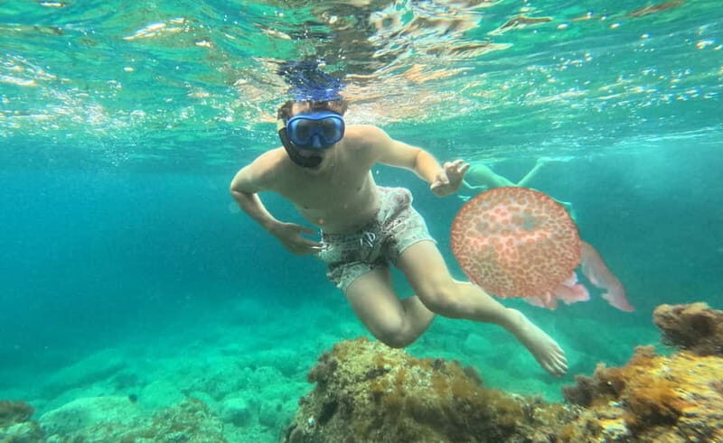 Barcelona Wild Experience: Kayak & Snorkel in Costa Brava - What’s Included & What Not