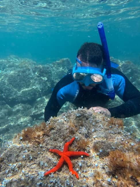 Barcelona Wild Experience: Kayak & Snorkel in Costa Brava - Who Will Love This Tour?