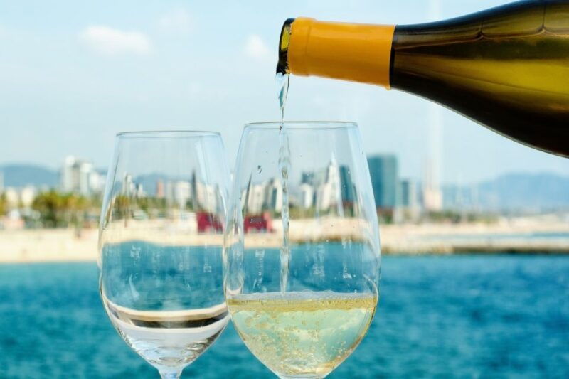 barcelona-wine-tasting-private-tour-with-wine-expert