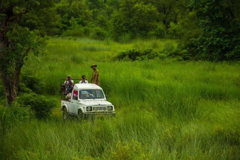 bardiya-national-park-treehouse-stay-with-wildlife-safari