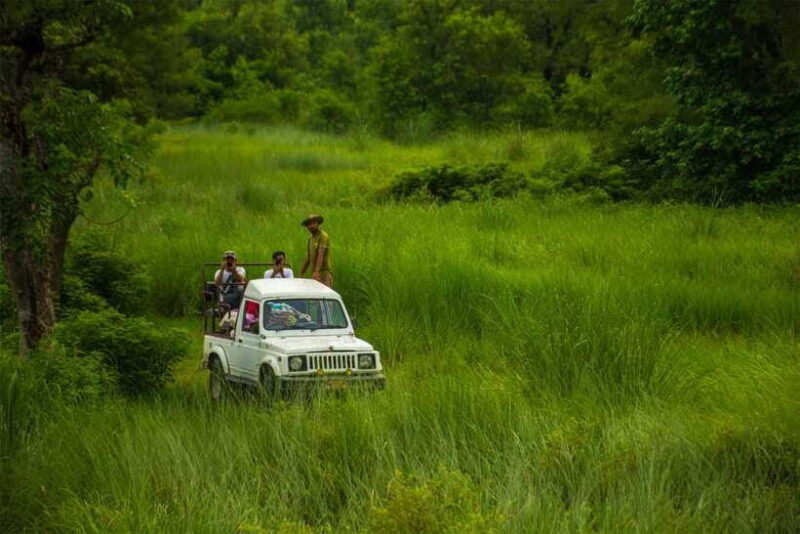 bardiya-national-park-treehouse-stay-with-wildlife-safari
