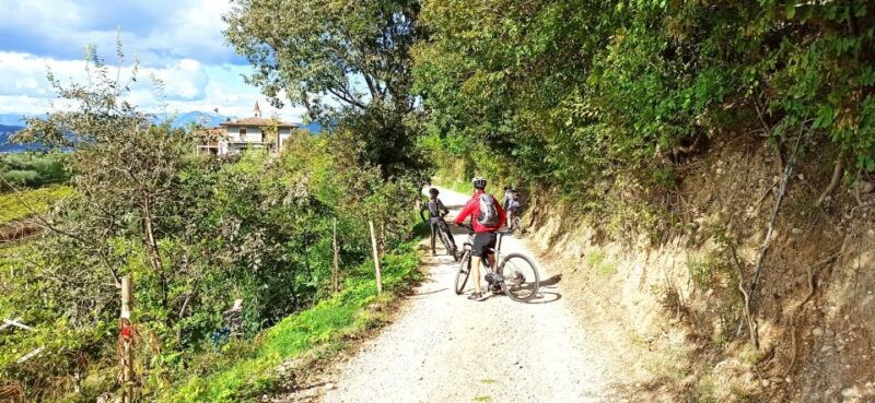 Bardolino: E-Bike Tour and Wine Tasting on the Hills - Booking Information