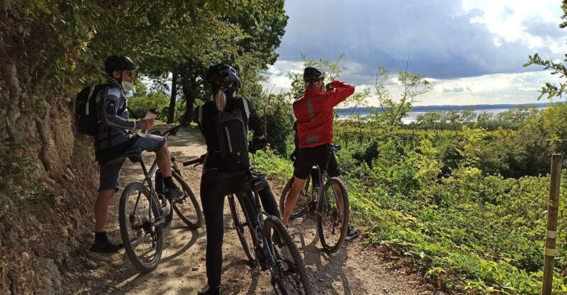 bardolino-e-bike-tour-and-wine-tasting-on-the-hills