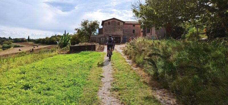 bardolino-e-bike-tour-and-wine-tasting-on-the-hills