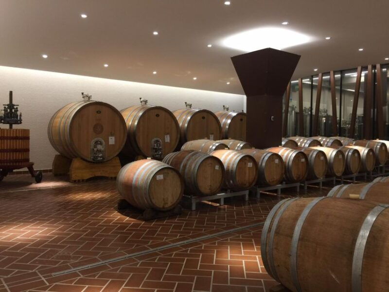 bardolino-tasting-of-6-red-valpolicella-and-garda-wines
