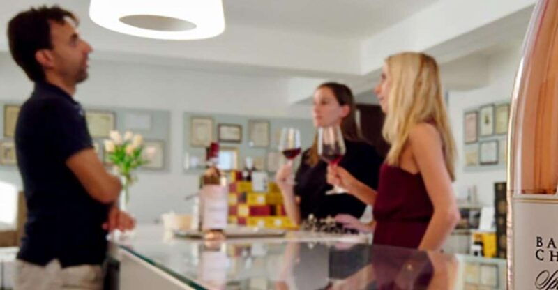bardolino-tasting-of-6-white-and-rose-wines-with-lake-view