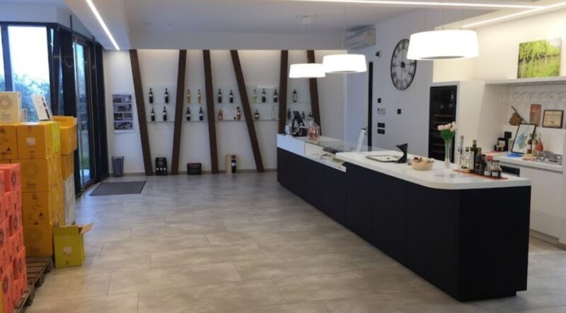 bardolino-tasting-of-6-white-and-rose-wines-with-lake-view