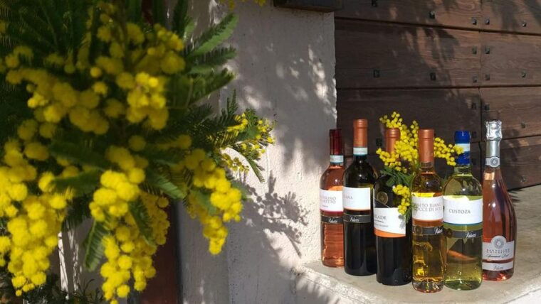 bardolino-tasting-of-6-white-and-rose-wines-with-lake-view