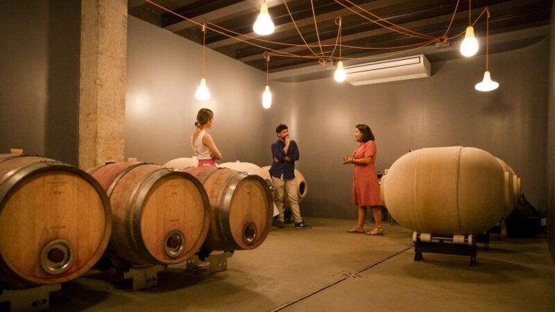 bardolino-vineyard-tour-with-wine-and-food-tasting