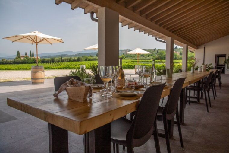 bardolino-vineyard-tour-with-wine-and-food-tasting