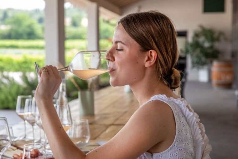 bardolino-vineyard-tour-with-wine-and-food-tasting