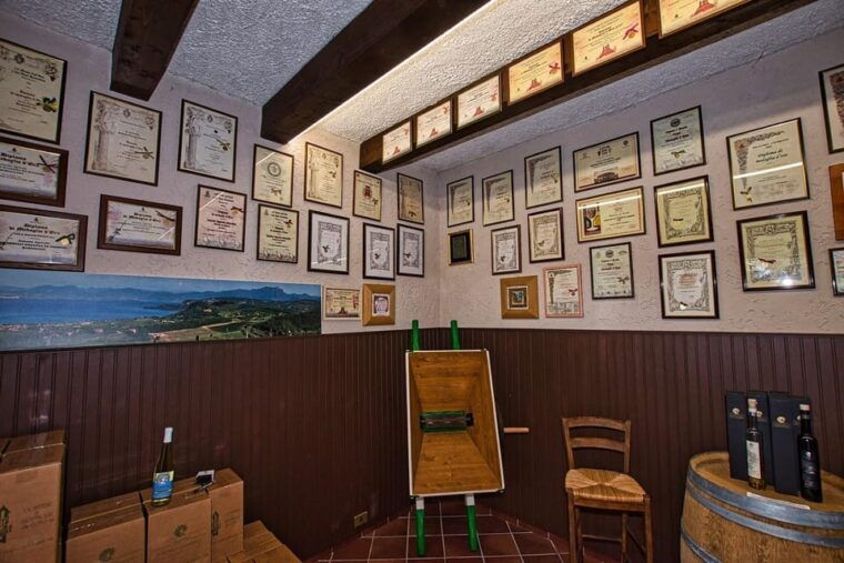 bardolino-wine-and-food-tasting-on-lake-garda-hills