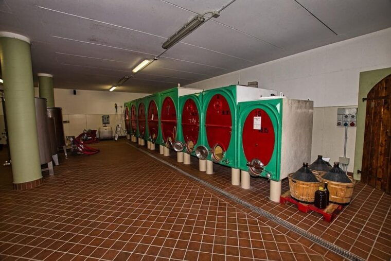 bardolino-wine-and-food-tasting-on-lake-garda-hills