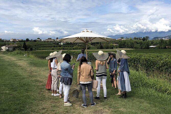Bardolino Wine Experience - Final Thoughts