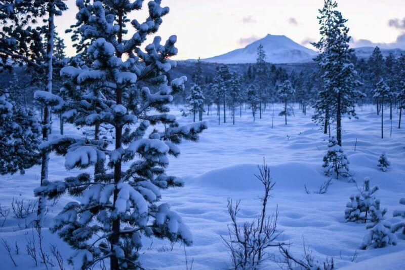 bardufoss-snowshoe-hike-to-norways-national-waterfalls