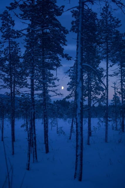 bardufoss-snowshoe-hike-to-norways-national-waterfalls