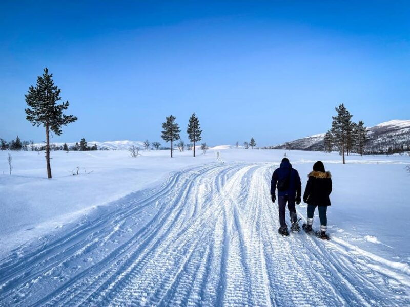 bardufoss-snowshoe-hike-with-campfire-lunch-and-great-view