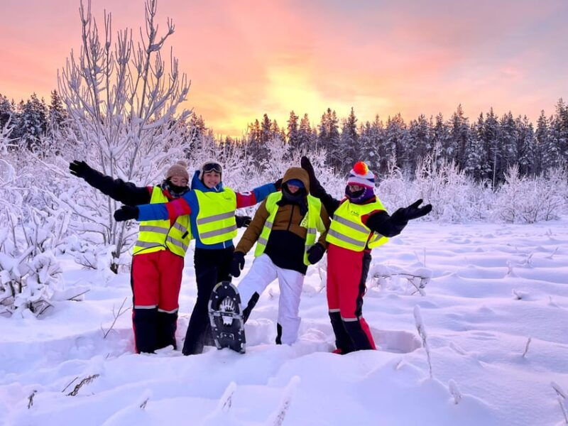 bardufoss-wild-moose-safari-with-lunch