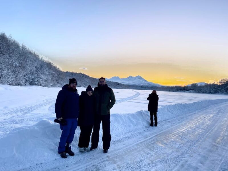 bardufoss-wild-moose-safari-with-lunch