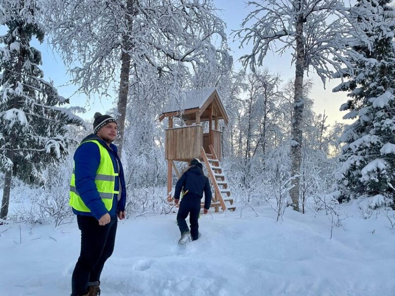 bardufoss-wild-moose-safari-with-lunch
