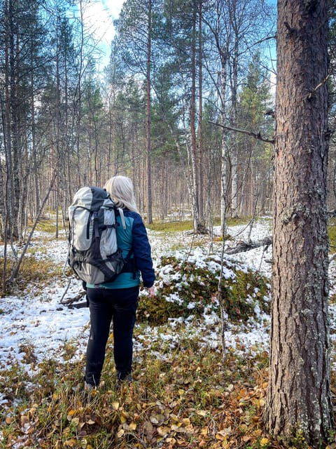 bardufoss-wild-moose-safari-with-lunch