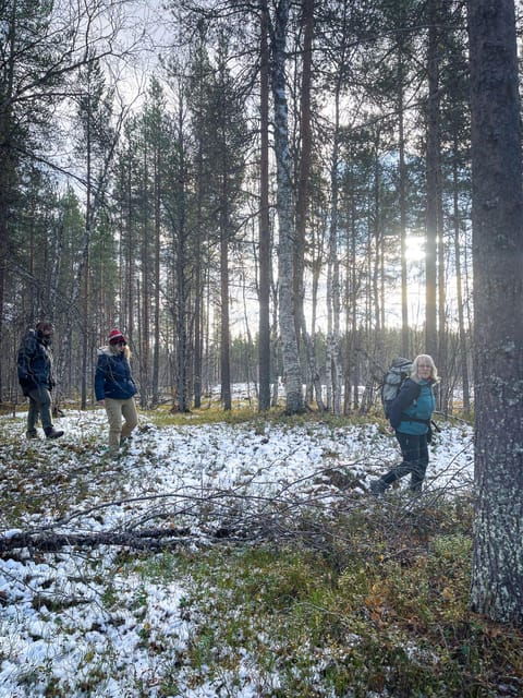 bardufoss-wild-moose-safari-with-lunch