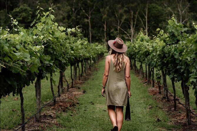 Barefoot Luxury Mount Tamborine Winery Tour from Brisbane - Exploring the Barefoot Luxury Mount Tamborine Winery Tour from Brisbane