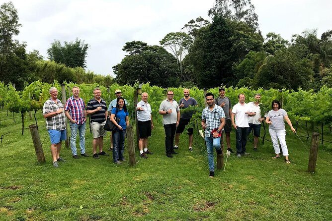 Barefoot Luxury Mount Tamborine Winery Tour from Brisbane - Key Points