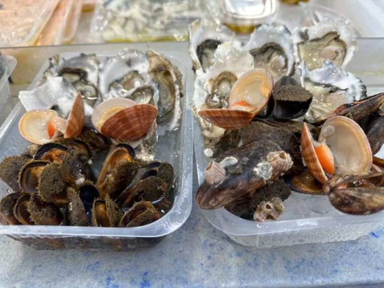 bari-experience-a-journey-through-the-flavors-of-puglia