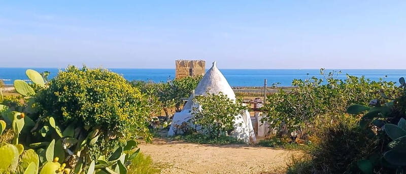 Bari: Tour Polignano Alberobello Matera (Private or Shared) - Cost and Value: Is It Worth It?