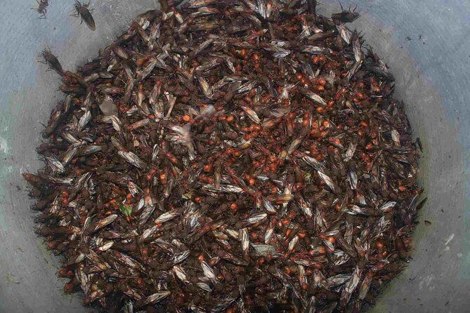 barichara-to-guane-hike-and-gastronomical-tour