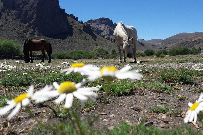 bariloche-horseback-riding-traditional-argentine-barbecue-tour