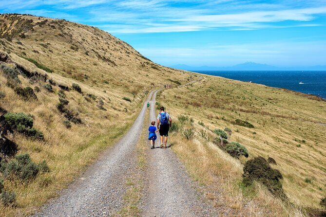 Baring Head Lighthouse Wainuiomata - Key Points