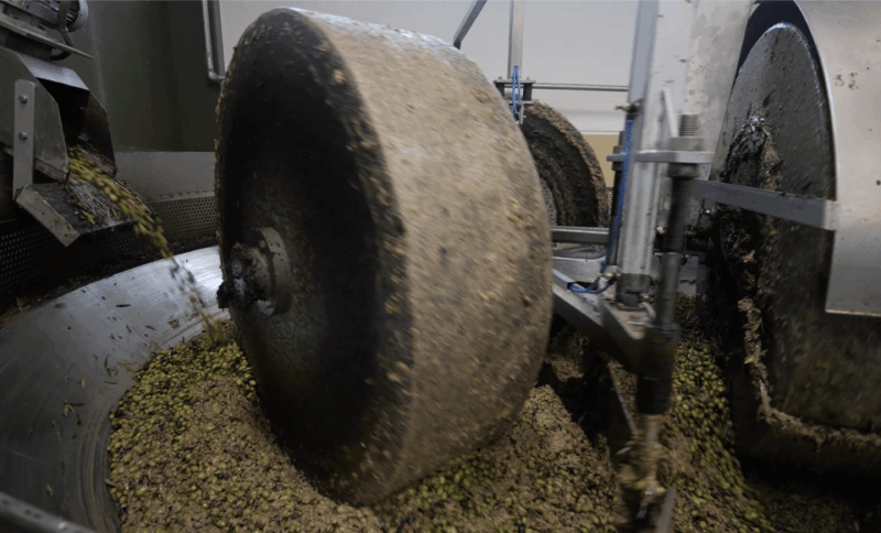 barletta-andria-trani-oil-mill-tour-and-oil-tasting