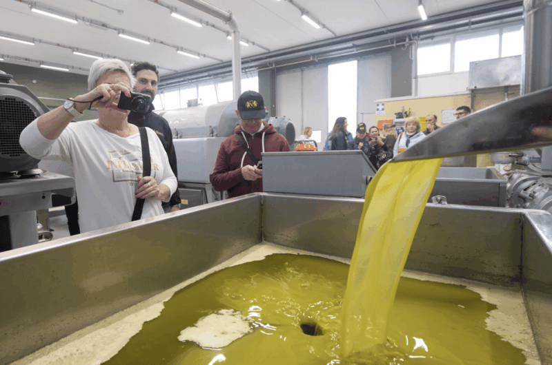 barletta-andria-trani-oil-mill-tour-and-oil-tasting
