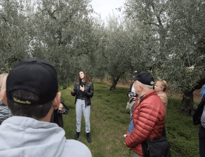 barletta-andria-trani-oil-mill-tour-and-oil-tasting