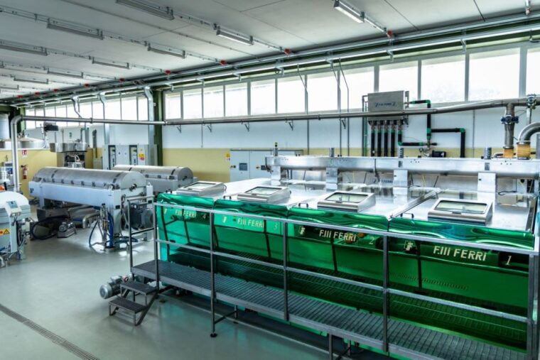 barletta-andria-trani-oil-mill-tour-and-oil-tasting