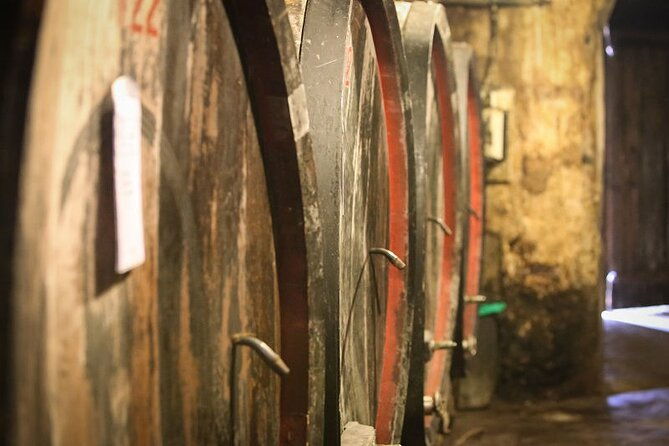 barolo-barbaresco-wine-tour-with-a-winemaker